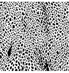 Black And White Cheetah Skin Texture