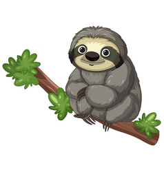 Cute Sloth With A Friendly Smile