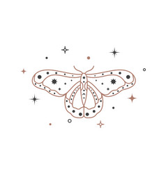 Mystical Celestial Outline Moth With Stars Line