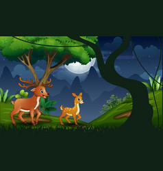 Night Forest With Mother Deer And Her Cub