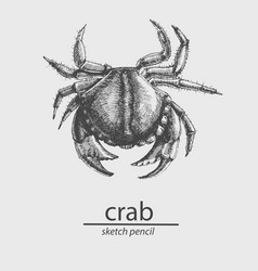 Crab A Marine Resident Sketch Style