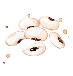 Fresh White Beans Watercolor Painting