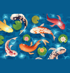 Koi Fish Background Water Swimming Animals