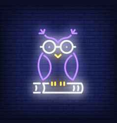 Owl On Book Neon Sign