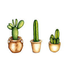 Set Of Watercolor Of Cacti In Pots Its Perfect