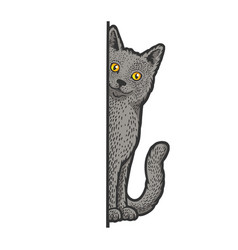 Cat Peeking From Corner Color Sketch