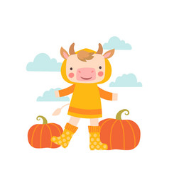 Cow With Pumpkin