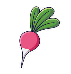 Cute Radish Cartoon Icon Food