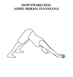 Downward Dog Yoga Workout Adho Mukha Svanasana