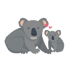 Koala Mother And Baby