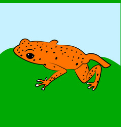 Frog Flat