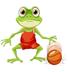 Green Frog Playing Basketball