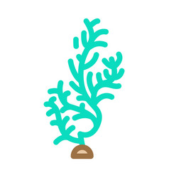 Cladophora Glomerata Seaweed Color Icon