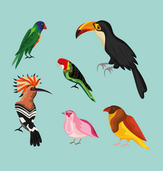 Group Of Exotic Birds