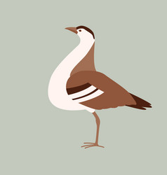 Bustard Bird Stylized