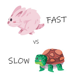 Fast Vs Slow Rabbit Hare Bunny And Turtle Tortoise