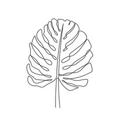 One Line Drawing Of Monstera Leaf Continuous Line