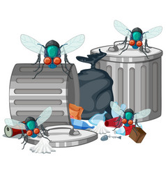 Fly And Trash Cartoon