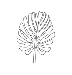 Monstera Leaf Drawn With One Continuous Line