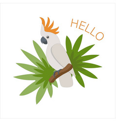 Tropical Cute Cartoon Parrot