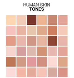 Skin Tone Color Chart Human Texture