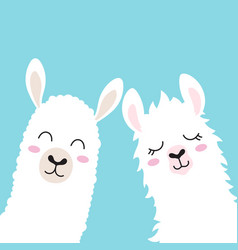 Cute Llamas Faces