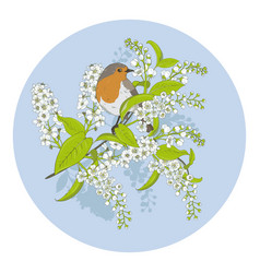 Robin Bird Sits On A Blooming Spring Branch