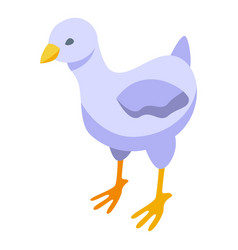 Baby Chick Icon Isometric Egg Bird