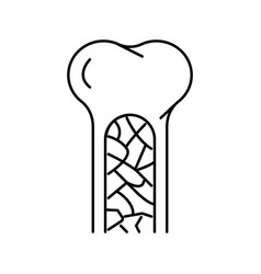 Bone Marrow Line Icon