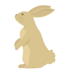 Scared Rabbit Icon Cartoon Cute Pet