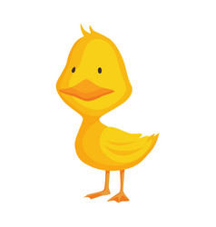 Cute Chick Baby Cartoon Yellow Duck Bird