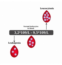 White Blood Cell Count Leukopenia Leukocytosis