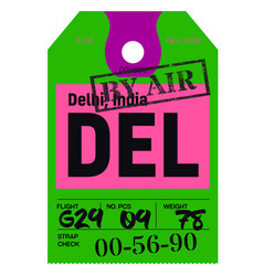 Delhi Airport Luggage Tag