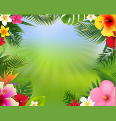 Bright Tropical Flowers And Frangipani Banner