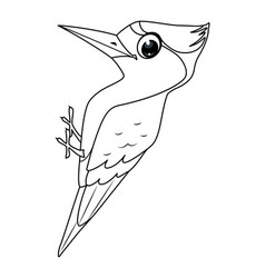 Bird Woodpecker Coloring Page