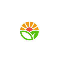 Sun Nature Or Leaf Template Logo Design