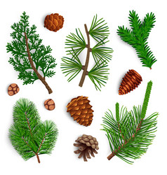 Pine Needle Cones Set