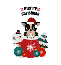 Cute Chihuahua Santa Claus Dog With Christmas