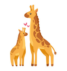 Giraffe Mother And Baby