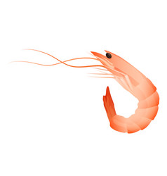 Marine Seafood Prawn