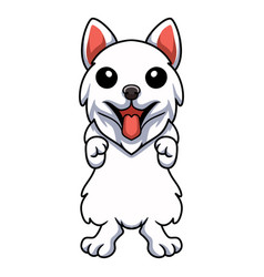 Cute Samoyed Dog Cartoon Standing