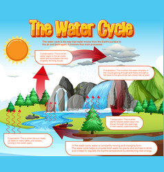 Water Cycle Diagram For Science Education