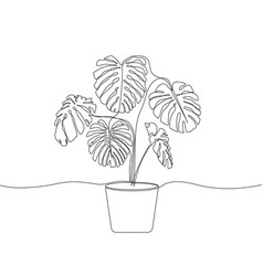 One Line Drawing Of Monstera In A Flowerpot