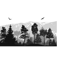 The pine trees forest Royalty Free Vector Image