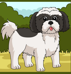 Shih Tzu Dog Colored Cartoon