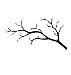 Black Silhouette Of A Tree Branch On White