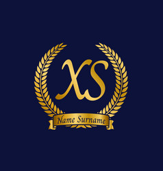 Initial Letter X And S Xs Monogram Logo Design