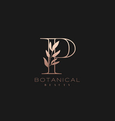 Letter a botanical elegant minimalist signature Vector Image