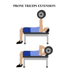 Prone Triceps Extension Exercise Strength Workout