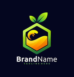 Splash Orange Juice Box Logo Template